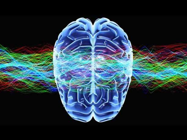 εγκέφαλος συνείδηση νευροαπεικόνιση ηλεκτρομαγνητικά κύματα