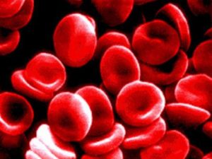 ομάδα αίματος αιμοσφαίρια αίμα
