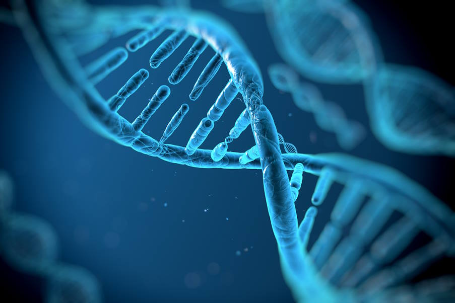 Στρατηγικές για την προστασία των τελομερών του DNA και άρα της νεότητάς μας