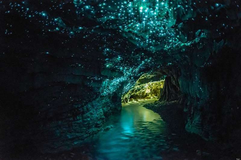 Οι πανέμορφες σπηλιές με τις πυγολαμπίδες στη Νέα Ζηλανδία
