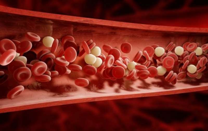 Κακή κυκλοφορία του αίματος: Τα βασικά συμπτώματα και οι επιπτώσεις