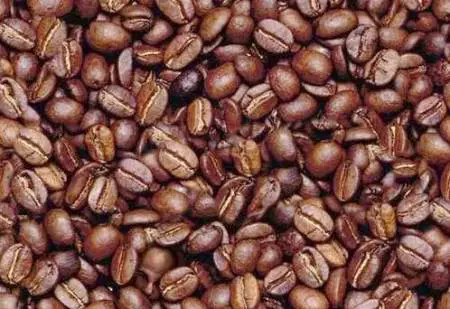 https://enallaktikidrasi.com/2016/07/test-eikones-deixnoun-leitourgei-egkefalos/