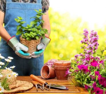 6 βήματα για να φτιάξετε τον κήπο των ονείρων σας
