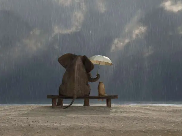 https://enallaktikidrasi.com/2016/10/5-pragmata-axizei-zitate-allous-xoris-fovaste/