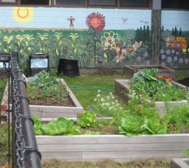 «Οδηγός Δημιουργίας Σχολικού Λαχανόκηπου»: Δωρεάν περιβαλλοντική εκπαίδευση για μαθητές