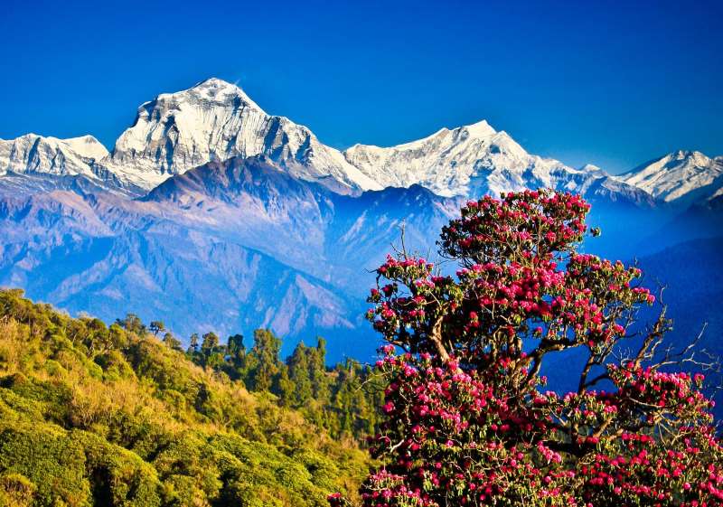 Το «Ορεινό Βασίλειο»: Ένα 5ήμερο οδοιπορικό στο μαγευτικό Νεπάλ (Βίντεο)