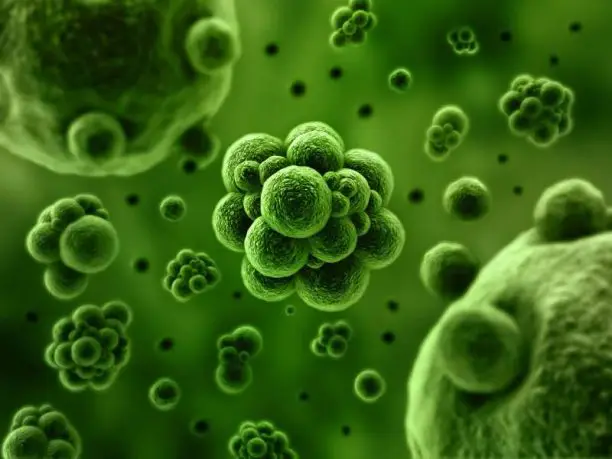 https://enallaktikidrasi.com/2016/11/pws-bacteria-derma-voithoun-prostasia/