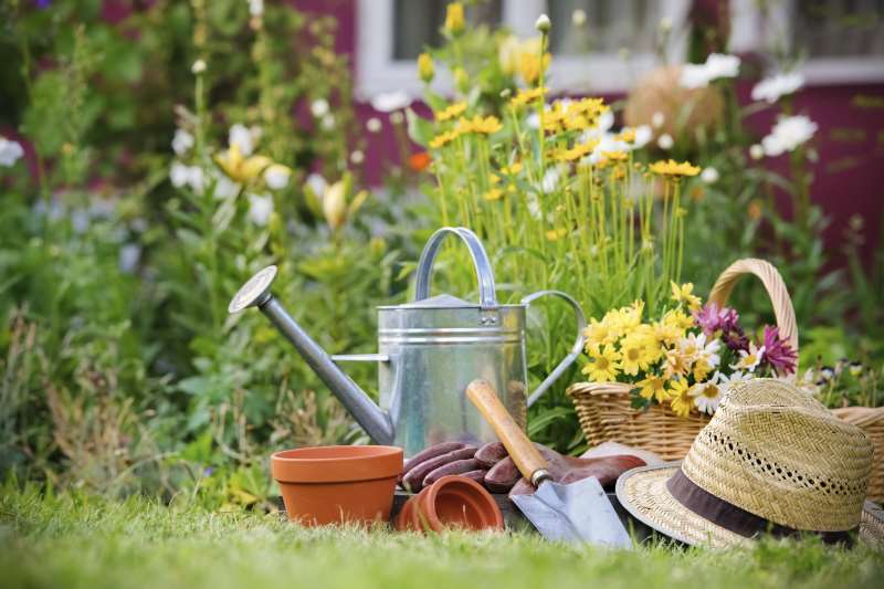 Πώς σας ωφελεί η κηπουρική σε μυαλό, σώμα και πνεύμα