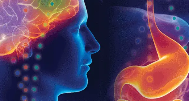 https://enallaktikidrasi.com/2016/11/viologia-psyxikis-isorropias-egkefalos-entero-agxos/