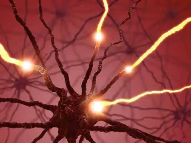 https://enallaktikidrasi.com/2017/02/ximeia-erota-ormones-neurodiavivastes-dimiourgoun-synaisthimata/