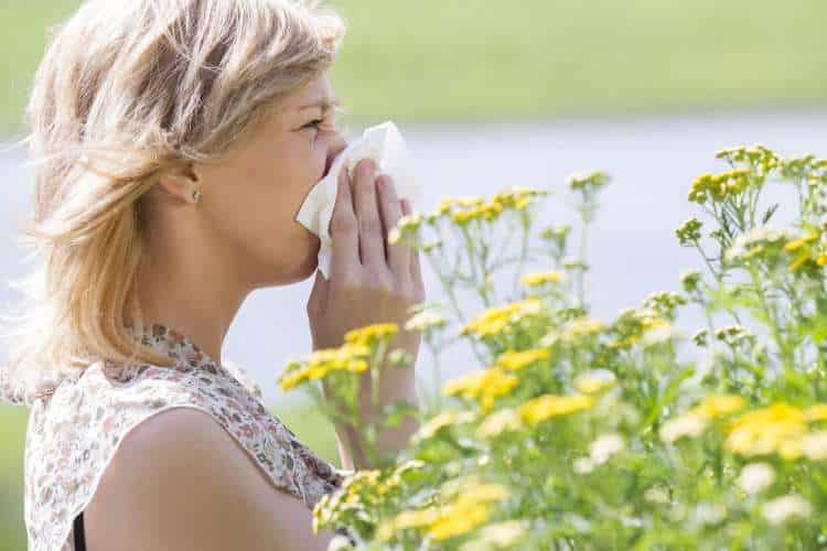 Αλλεργίες: Αίτια, συμπτώματα και τρόποι φυσικής αντιμετώπισης