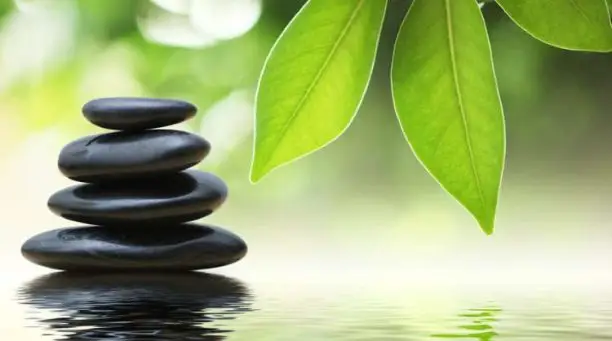https://enallaktikidrasi.com/2017/03/lathi-kanoume-spiti-sumfona-feng-shui/