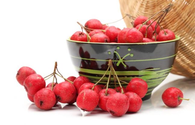 Κράταιγος: Οι θεραπευτικές του ιδιότητες και πώς να τον χρησιμοποιήσετε