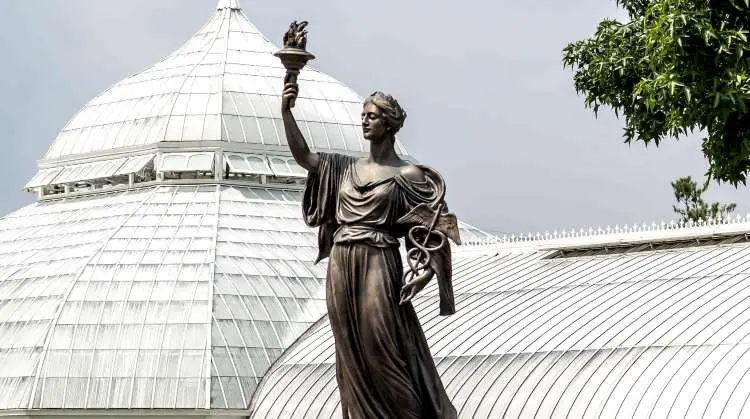 Αναστάσιος Τσίπηρας: Η λέξη "Υγεία" είναι ένας κώδικας - Συνέντευξη με έναν βελονιστή οδοντίατρο
