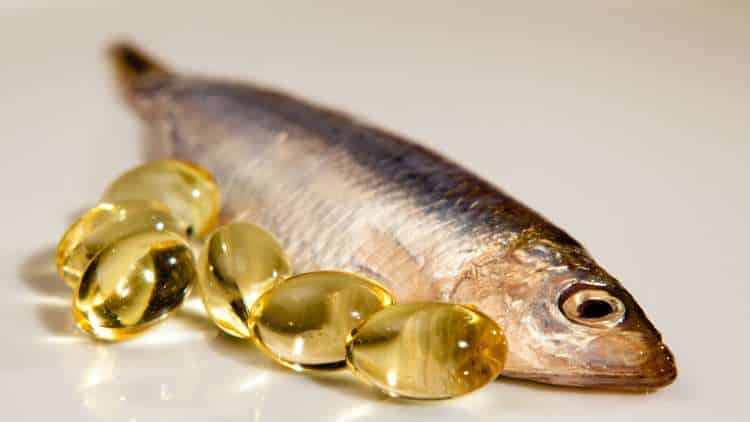 Ιχθυέλαιο και ψάρια, στην υπηρεσία της υγείας μας