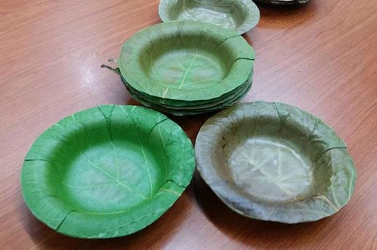 Πιάτα από φύλλα αντικαθιστούν το πλαστικό και το φελιζόλ