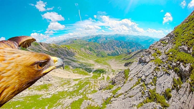 Οι Άλπεις μέσα από τα μάτια ενός αετού: Ένα εκπληκτικό βίντεο 4Κ που κόβει την ανάσα!