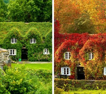 Φθινόπωρο: 12 πανέμορφες φωτογραφίες που δείχνουν το πριν και το μετά!