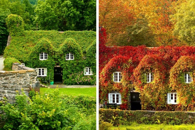 Φθινόπωρο: 12 πανέμορφες φωτογραφίες που δείχνουν το πριν και το μετά!