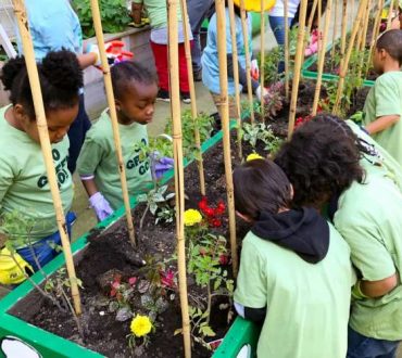 Δημοτικό σχολείο στο Μπρονξ χρησιμοποιεί τη γεωργία ως εργαλείο αλλαγής για τα παιδιά!