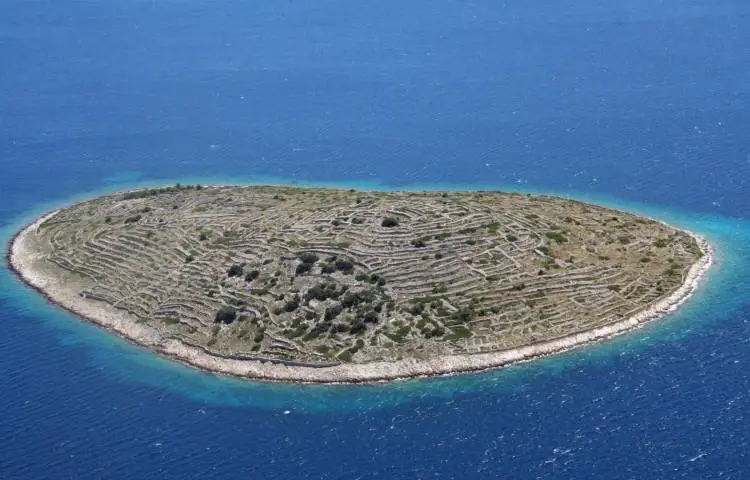 https://enallaktikidrasi.com/2017/12/baljenak-nisaki-moiazei-daktiliko-apotipoma/