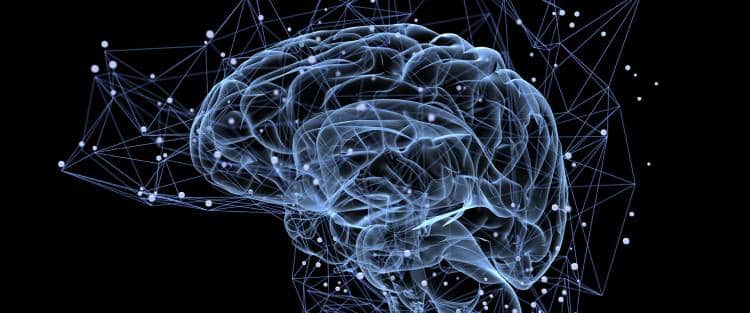 Ο ανθρώπινος εγκέφαλος μπορεί να «δει» το μέλλον, σύμφωνα με τους επιστήμονες