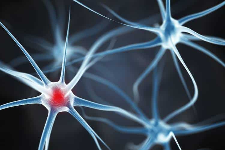 Πρωτοποριακή μελέτη δείχνει ικανή τη θεραπεία από εγκεφαλικό επεισόδιο με επέμβαση στα γονίδια του εγκεφάλου