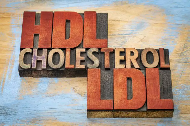 Ποια είναι η διαφορά ανάμεσα στην HDL και στην LDL χοληστερίνη;