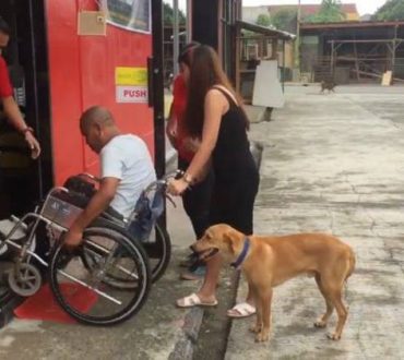 Αυτός ο αξιολάτρευτος σκύλος σπρώχνει το αναπηρικό αμαξίδιο του ιδιοκτήτη του στο δρόμο