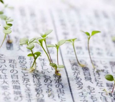 Ιάπωνες δημιούργησαν βιώσιμη εφημερίδα που μετατρέπεται σε φυτό