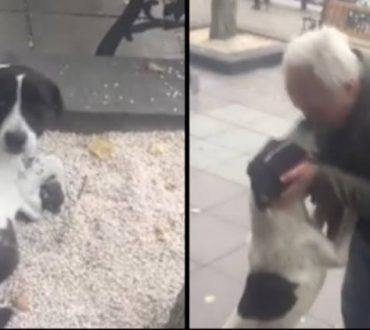 Άνδρας βρίσκει τυχαία τον χαμένο του σκύλο 3 χρόνια μετά την εξαφάνισή του (Βίντεο)
