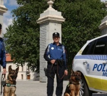 Η αστυνομία της Μαδρίτης χαλαρώνει τους σκύλους της με κλασική μουσική (Βίντεο)
