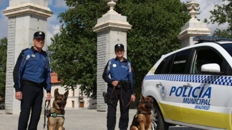 Η αστυνομία της Μαδρίτης χαλαρώνει τους σκύλους της με κλασική μουσική (Βίντεο)