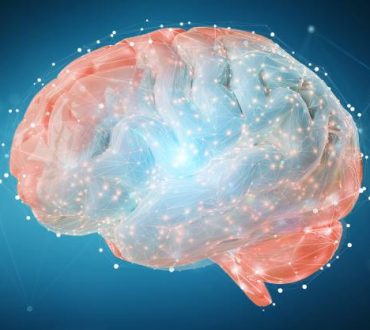 Ο εγκέφαλός μας προβλέπει μελλοντικά γεγονότα, σύμφωνα με νέα έρευνα