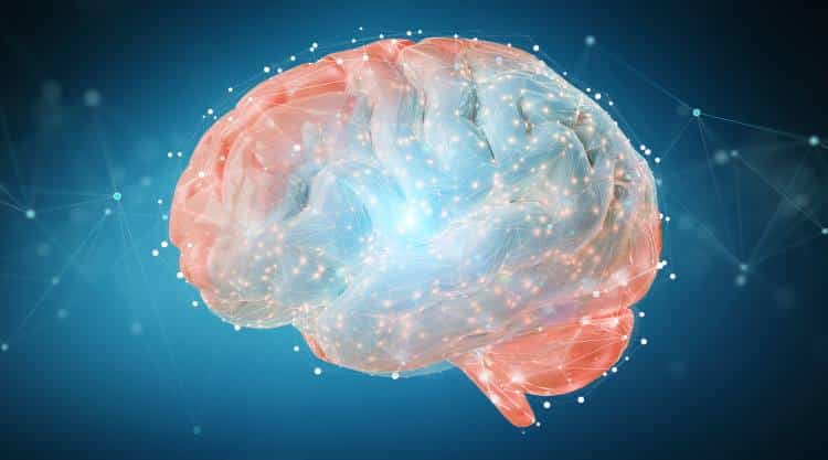 Ο εγκέφαλός μας προβλέπει μελλοντικά γεγονότα, σύμφωνα με νέα έρευνα