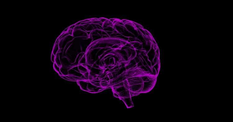 Οι επιστήμονες εντόπισαν περιοχή του εγκεφάλου που καταστέλλει το φόβο