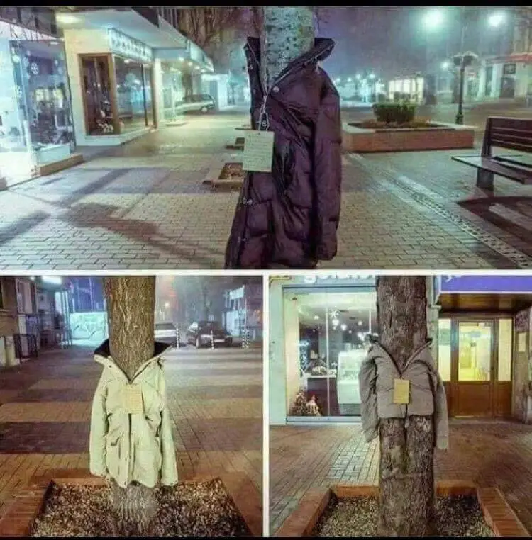 Λάρισα: Ντύνουν τα δέντρα με μπουφάν για καλό σκοπό