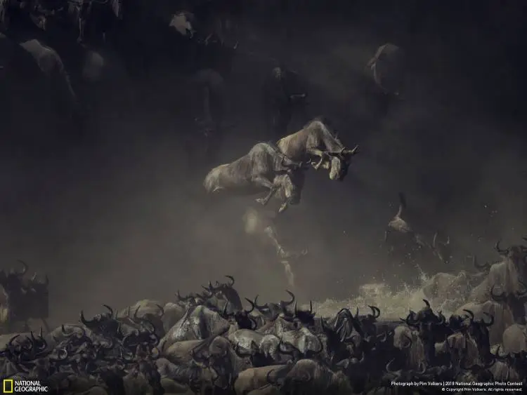 National Geographic: Οι φωτογραφίες που ξεχώρισαν για το 2018