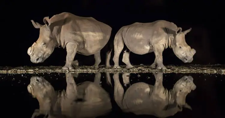 National Geographic: Οι φωτογραφίες που ξεχώρισαν για το 2018