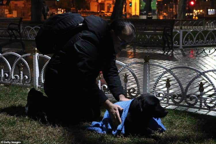 Κωνσταντινούπολη: Οδοντίατρος σκεπάζει κάθε βράδυ αδέσποτες γάτες και σκύλους για να μην κρυώνουν!
