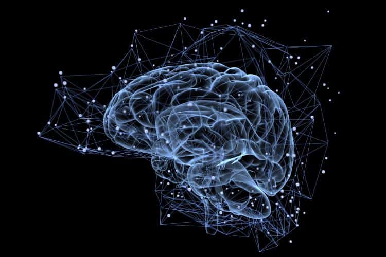 10 νέα εντυπωσιακά στοιχεία που μάθαμε για τον εγκέφαλο το 2018