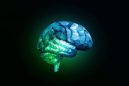 Τα περιττά κιλά συνδέονται με συρρίκνωση του εγκεφάλου, σύμφωνα με νέα έρευνα