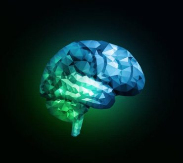 Τα περιττά κιλά συνδέονται με συρρίκνωση του εγκεφάλου, σύμφωνα με νέα έρευνα