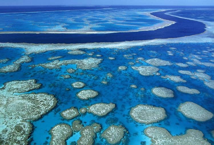 Η Αυστραλία σχεδιάζει να ρίξει τόνους υγρών αποβλήτων στον Μεγάλο Κοραλλιογενή Ύφαλο