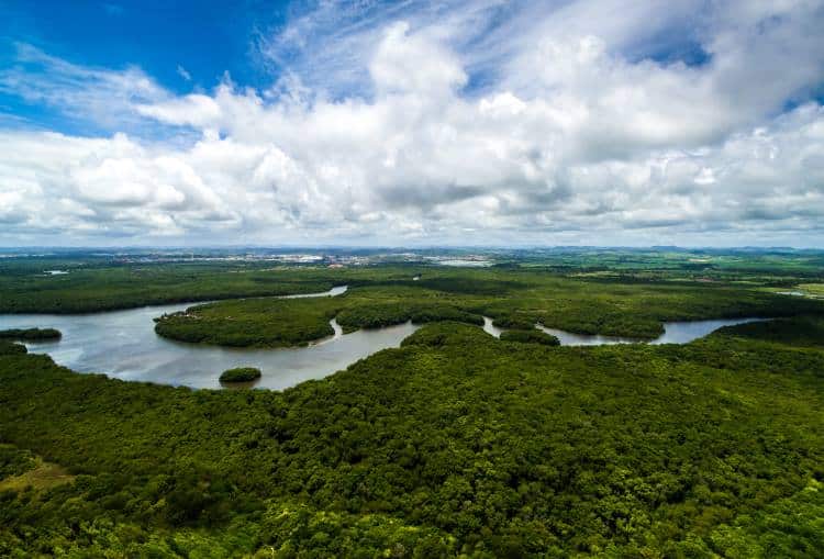 Πράσινος πλανήτης: Κίνα και Ινδία δημιούργησαν δάση στο μέγεθος του Αμαζονίου