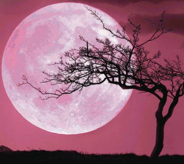 Ροζ πανσέληνος: Απόψε θαυμάζουμε το εντυπωσιακότερο ανοιξιάτικο φεγγάρι