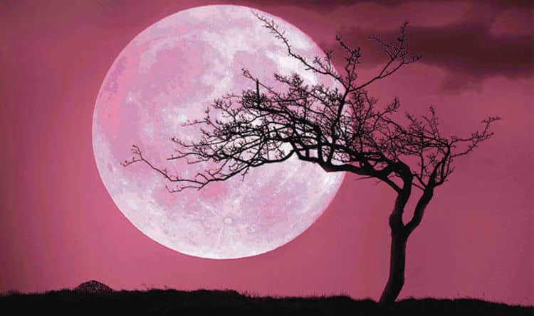 Ροζ πανσέληνος: Απόψε θαυμάζουμε το εντυπωσιακότερο ανοιξιάτικο φεγγάρι