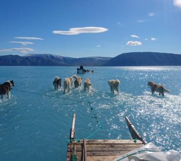 Φωτογραφία αποκαλύπτει τη σκληρή αλήθεια για το λιώσιμο των πάγων στη Γροιλανδία