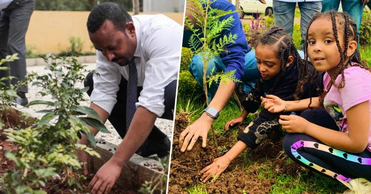Η Αιθιοπία φύτεψε 350 εκατομμύρια δέντρα σε μία μόνο μέρα, σπάζοντας κάθε ρεκόρ