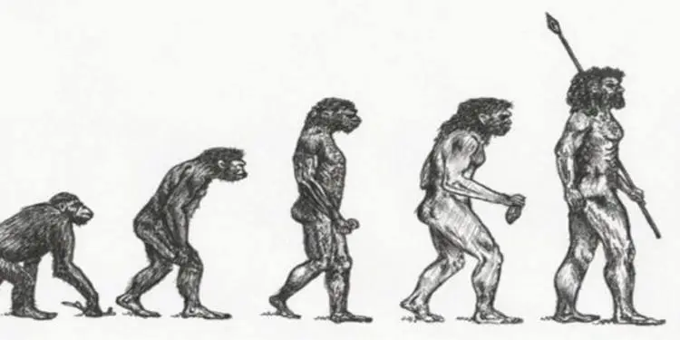 Το αρχαιότερο δείγμα Homo Sapiens είναι ελληνικό και βρέθηκε σε σπήλαιο της Μάνης